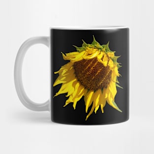 Sunflower Sunshine Shadows Mug